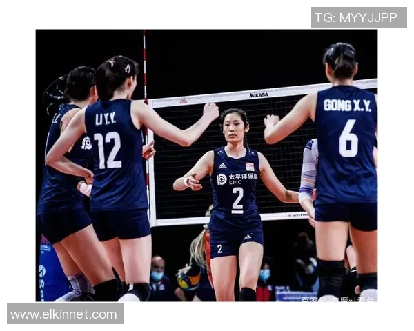 上海排球队灵活性展现全方位实力大满贯点评分析