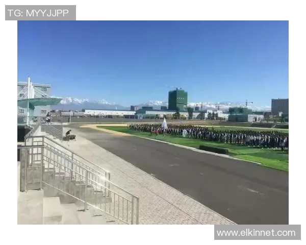 乒乓球场上的追梦旅程:刘敏的奋斗与成长故事 乒乓球场上的追梦旅程:刘敏的奋斗与成长故事