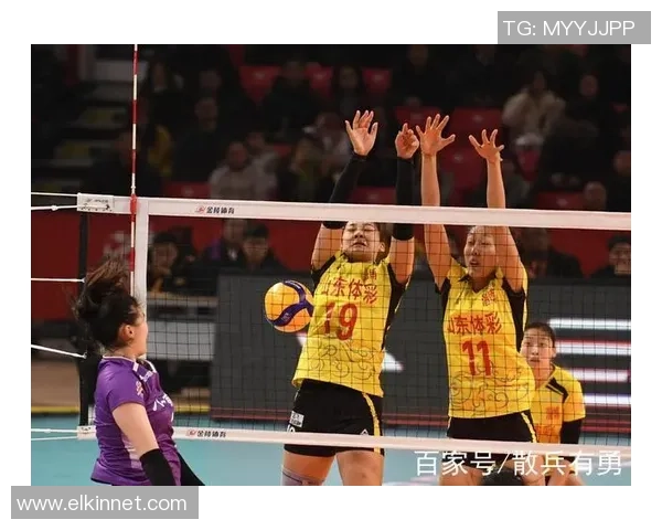 南京排球队技术对比深度解析与发展趋势探讨