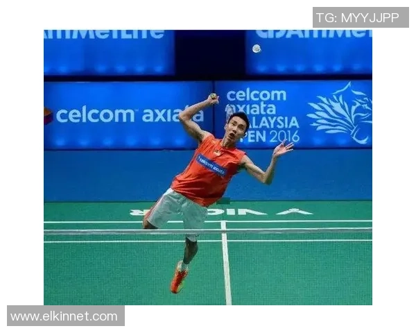 南京羽毛球队战术表现深度分析及数据解读探索