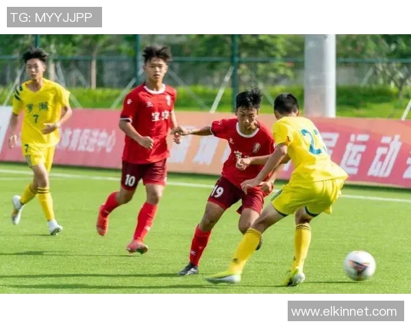 深圳乒乓球队实力强劲荣登全国排行榜第七名引关注