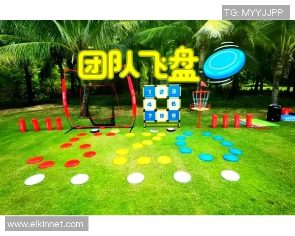 飞盘热潮席卷杭州：飞盘队如何实现速度与技巧的双重突破