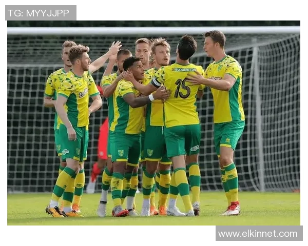 斯托克城迎战诺维奇展现英冠激烈对抗精彩瞬间